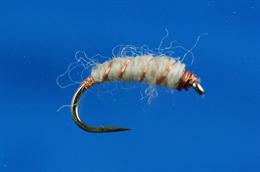 Killer Bug